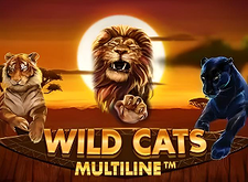 Wild Cats Multiline logo