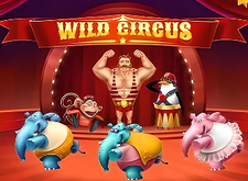 Wild Circus logo