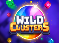 Wild Clusters logo