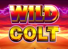 Wild Colt logo