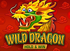 Wild Dragon Hold and Win logo