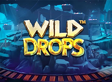 Wild Drops logo