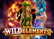 Wild Elements logo