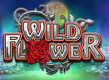 Wild Flower logo