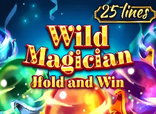 Wild Magician logo