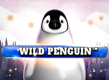 Wild Penguin logo