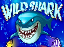 Wild Shark logo
