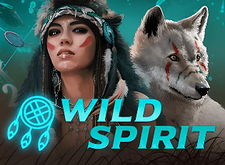 Wild Spirit logo