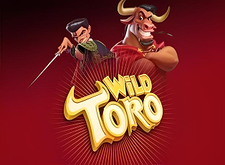 Wild Toro logo