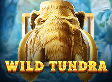 Wild Tundra logo