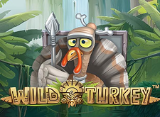 Wild Turkey logo