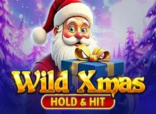 Wild Xmas Hold and Hit logo