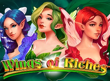 Wings of Riches logo