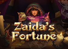 Zaidas Fortune logo